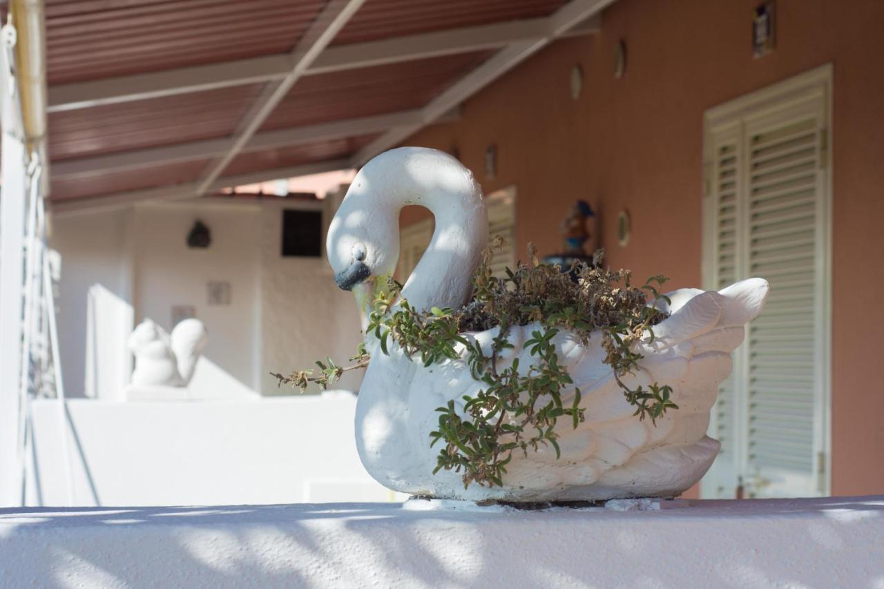 Le Dimore Di Concetta Forio  Exterior photo
